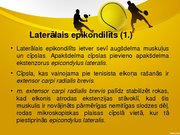 Referāts 'Laterālais epikondilīts jeb tenisista elkonis', 30.