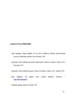 Referāts 'Valsts atbildība', 25.