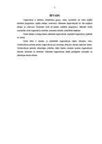 Referāts 'Nākotnes organizācijas', 2.