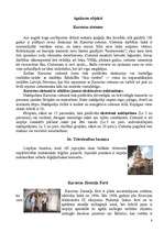 Referāts 'Liepāja un tās rajons', 10.