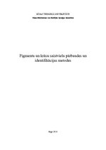 Referāts 'Pigmentu un krāsu saistvielu pārbaudes un identifikācijas metodes', 1.