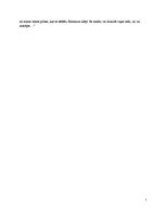 Referāts 'Traģiskie notikumi romānā "Mērnieku laiki"', 7.