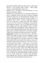 Referāts 'Viļņa', 4.