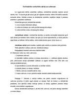 Konspekts 'Darbmācības nodarbību mērķi un uzdevumi', 1.