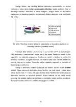 Referāts 'Personāla vadības funkciju pilnveidošanas iespējas Rīgas patversmē', 32.