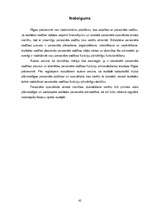 Referāts 'Personāla vadības funkciju pilnveidošanas iespējas Rīgas patversmē', 42.