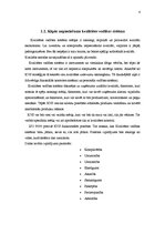 Eseja 'Kvalitātes vadība', 2.