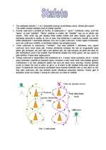 Konspekts 'Stafete', 1.