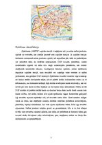 Referāts 'Iespējamā katastrofa - sprādziens degvielas uzpildes stacijā', 3.