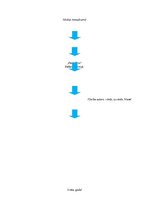 Referāts 'Penicilīns', 1.