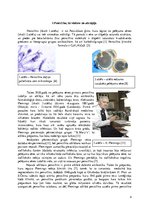 Referāts 'Penicilīns', 4.