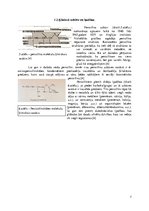 Referāts 'Penicilīns', 7.