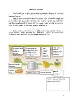 Referāts 'Penicilīns', 8.