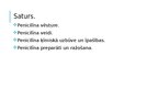Referāts 'Penicilīns', 13.
