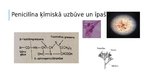 Referāts 'Penicilīns', 16.