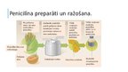 Referāts 'Penicilīns', 17.