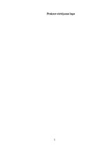 Prakses atskaite 'Prakses pārskats. AS "DnB Nord Banka"', 2.