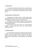 Prakses atskaite 'Prakses pārskats. AS "DnB Nord Banka"', 19.