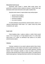 Prakses atskaite 'Prakses pārskats. AS "DnB Nord Banka"', 51.