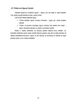 Prakses atskaite 'Prakses pārskats. AS "DnB Nord Banka"', 60.