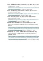 Referāts 'Mazo un vidējo uzņēmumu atbalsta politika Latvijā', 29.