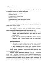 Referāts 'Krājumi un to aprēķināšana', 6.