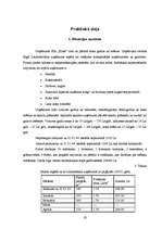 Referāts 'Krājumi un to aprēķināšana', 19.