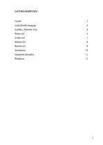 Referāts 'Sinagogas Rīgā', 2.