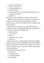 Prakses atskaite 'Sekretāres prakses atskaite', 4.