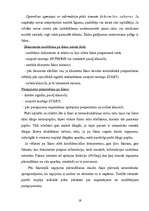 Prakses atskaite 'Sekretāres prakses atskaite', 19.