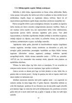 Prakses atskaite 'Sekretāres prakses atskaite', 61.