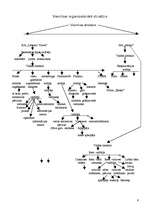 Prakses atskaite 'Viesnīca "Rīga"', 5.