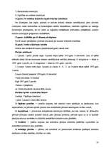 Prakses atskaite 'Viesnīca "Rīga"', 19.