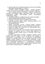 Referāts 'Uzņēmuma organizatoriskās struktūras konversija', 29.