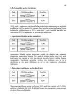 Referāts 'Uzņēmuma finanšu analīze', 60.