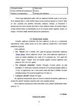 Biznesa plāns 'Biznesa plāns būvniecības uzņēmumam', 12.