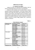 Biznesa plāns 'Biznesa plāns būvniecības uzņēmumam', 15.