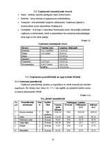 Biznesa plāns 'Biznesa plāns būvniecības uzņēmumam', 19.