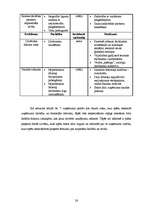 Biznesa plāns 'Biznesa plāns būvniecības uzņēmumam', 26.