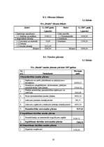 Biznesa plāns 'Biznesa plāns būvniecības uzņēmumam', 29.