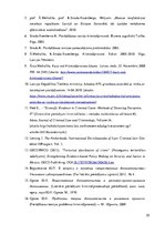 Referāts 'Rīcība ar lietiskiem pierādījumiem kriminālprocesā: izpratne un procesuālā  kārt', 30.