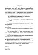 Diplomdarbs 'Individuālā uzņēmuma "Zaiga" mārketinga stratēģijas izveide', 6.