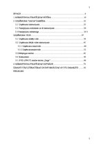 Diplomdarbs 'Individuālā uzņēmuma "Zaiga" mārketinga stratēģijas izveide', 7.