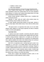 Diplomdarbs 'Individuālā uzņēmuma "Zaiga" mārketinga stratēģijas izveide', 43.