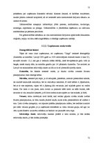 Diplomdarbs 'Individuālā uzņēmuma "Zaiga" mārketinga stratēģijas izveide', 52.