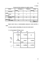 Diplomdarbs 'Individuālā uzņēmuma "Zaiga" mārketinga stratēģijas izveide', 64.