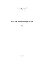 Eseja 'Grupas darba analīze lēmuma pieņemšanas laikā', 1.