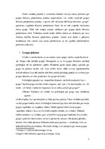 Eseja 'Grupas darba analīze lēmuma pieņemšanas laikā', 3.