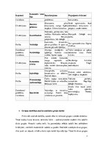 Eseja 'Grupas darba analīze lēmuma pieņemšanas laikā', 7.