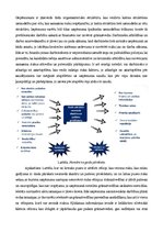 Konspekts 'Iekšējas kontroles sistēmas izveide uzņēmumā', 3.